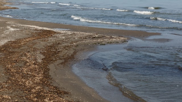 The researchers noted that their findings come at a key juncture.