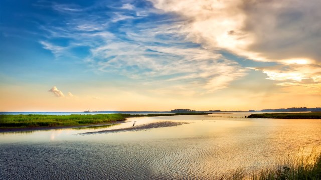 Reliable oyster harvesting can have a big local impact.