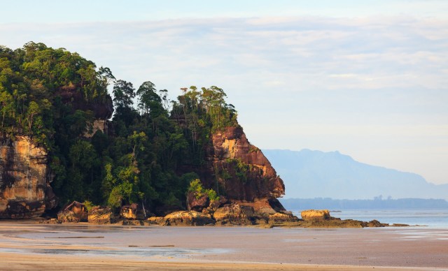 The sighting could be a promising sign for the future.