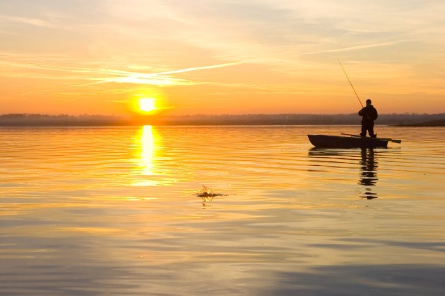 "We'll take all that visitor money we can get."