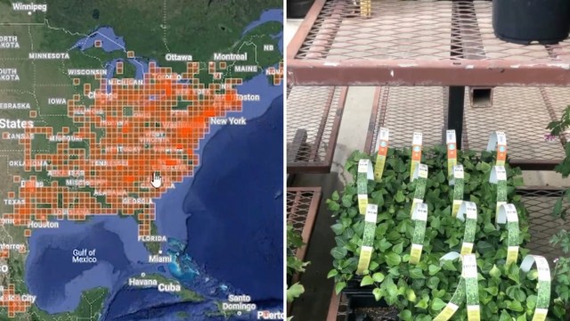 "It absolutely blows my mind."