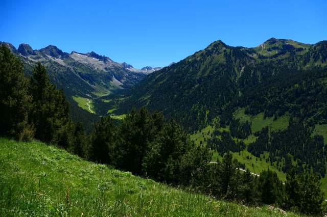 Experts aren’t certain why the bird is popping up in new regions.