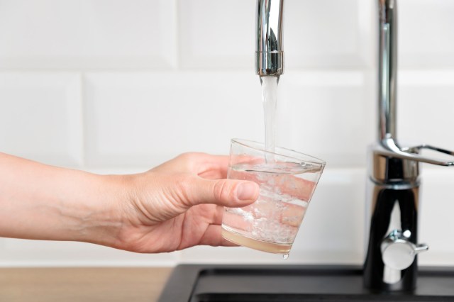 "These are a class of compounds that persist."