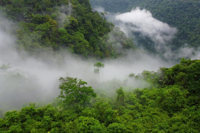 "Sometimes, by the time we receive information from remote areas, the damage has already become massive and widespread."