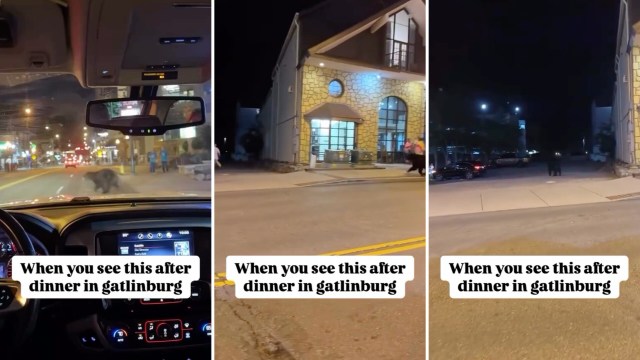 In the clip, several people are seen running frantically across a crosswalk.