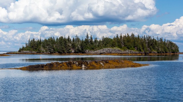 The move is a particular win for one species.