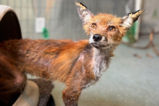 It was touch and go for a few days.