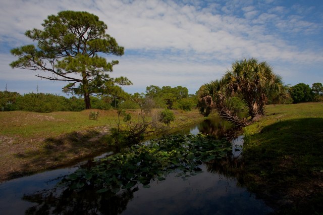 Major ecological projects like this one require proper permits and oversight from officials.