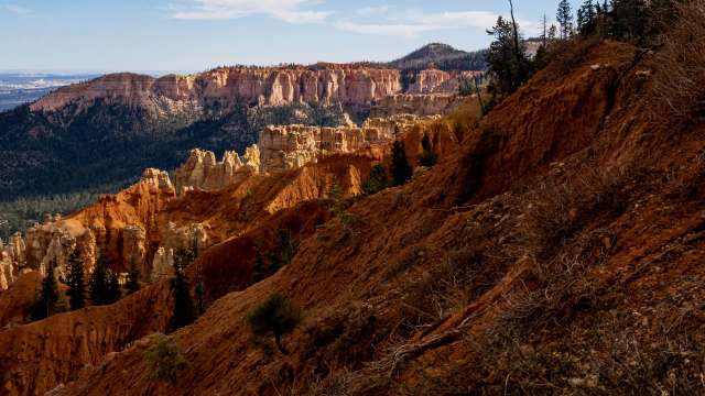 "She appears happy to lean into their affection."