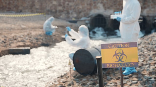 The findings could have serious implications for humans as well.