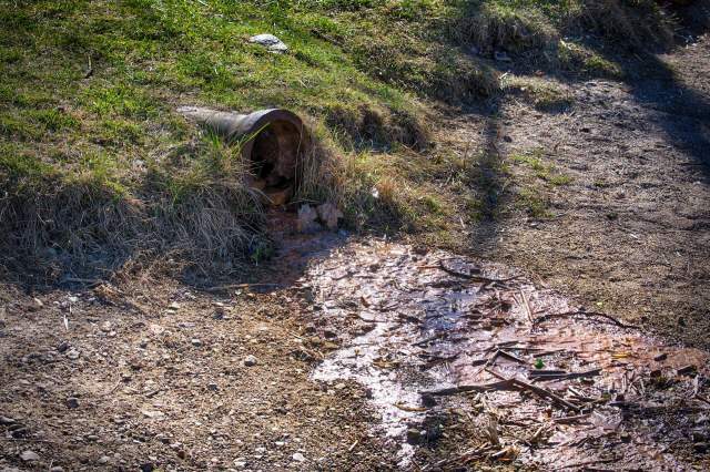 "We've got to get them clean water now and stop this."