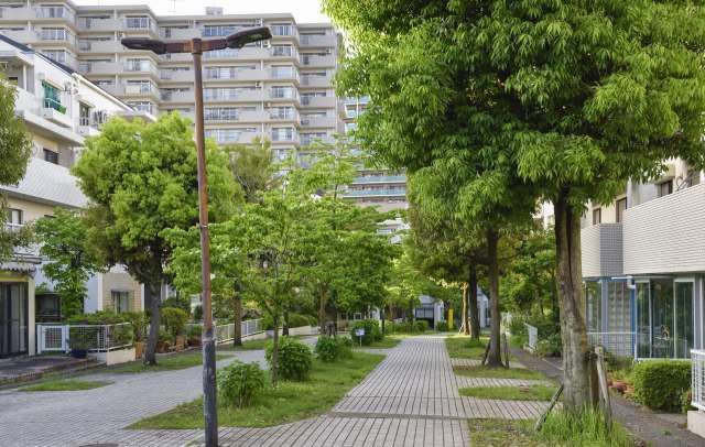 Traditional tree health monitoring has been a hands-on, labor-intensive job.