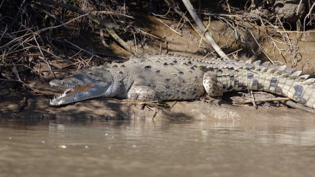 "Maybe exposure from the media might push action along a bit."