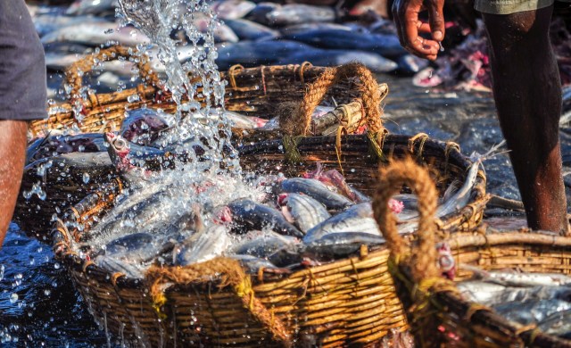 "Our goal is really to make an impact."