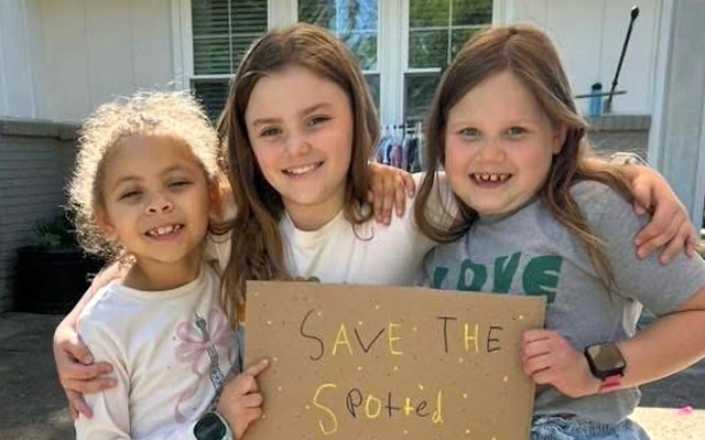 "I expected this would be an uphill battle that would end in disappointment."