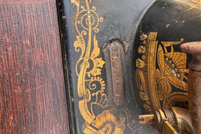 "You should go buy a lottery ticket."