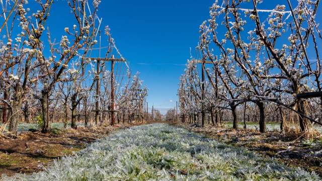 "What we're seeing is the opposite."