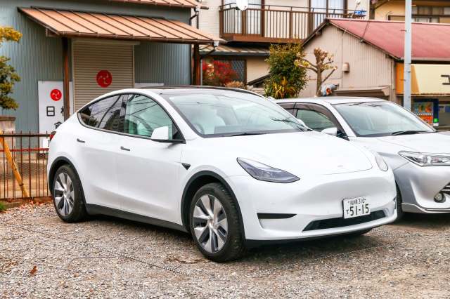 "In some cases, people who want to buy EVs reluctantly choose imports."