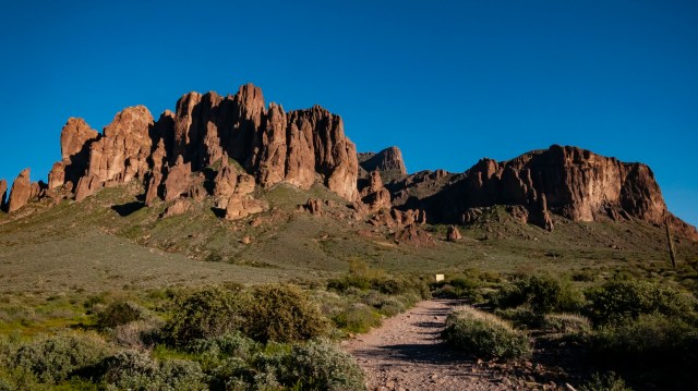 "There’s a lot of people that want to get involved."