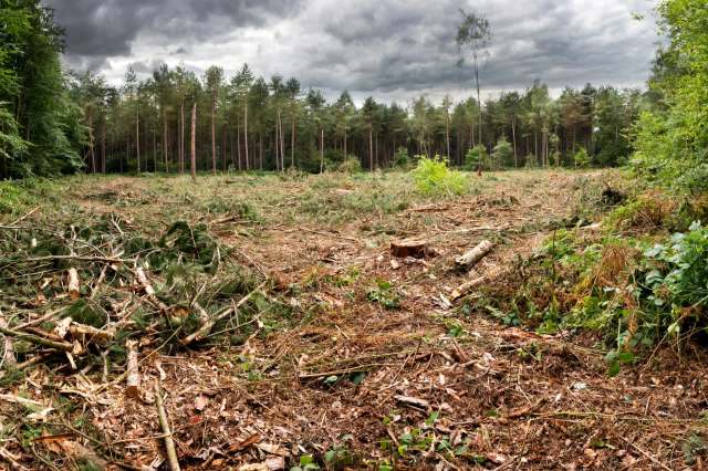 Instead of making project progress quicker, experts say the bill will add expense and delays.