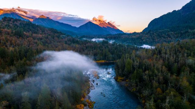 "It's not shocking given the significant uptick in ... killings over the past several years."