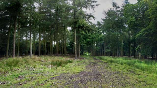 "Will bring nature closer to people."