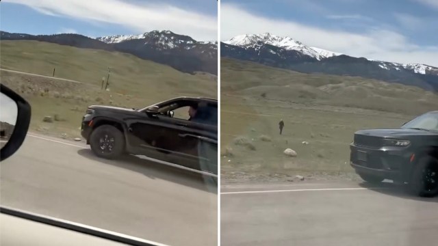 "Everyone thinks they're a Disney princess."