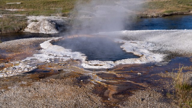 "Mr. Shen was charged with operating a motor vehicle in a prohibited area."