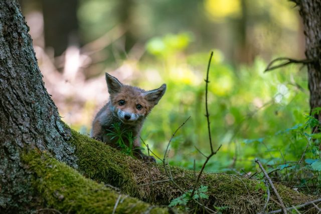 "Thank you for saving him and helping."
