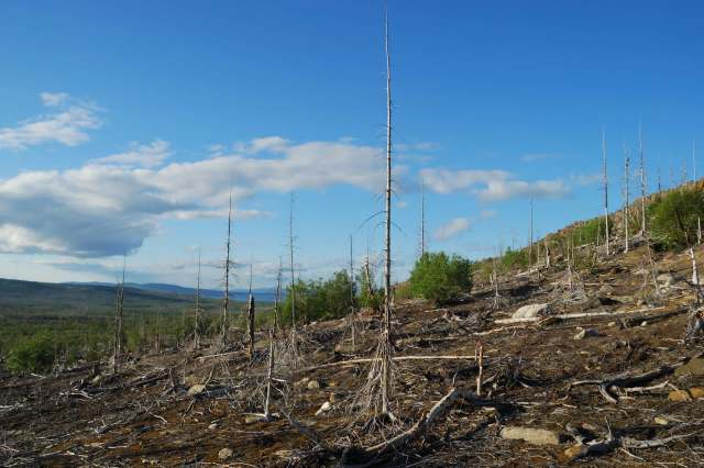 "If we don't have the funding for research to look at what's happening, we are just blind."