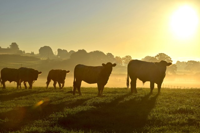 Many farmers are taking extra precautions when caring for livestock.