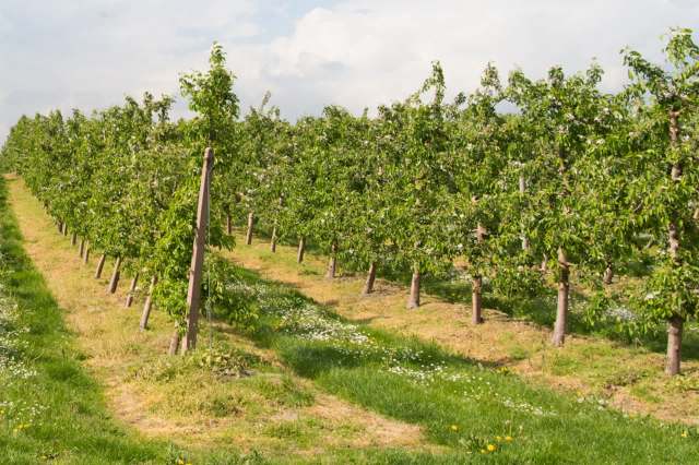 "It's a bit too early to talk about possible consequences."