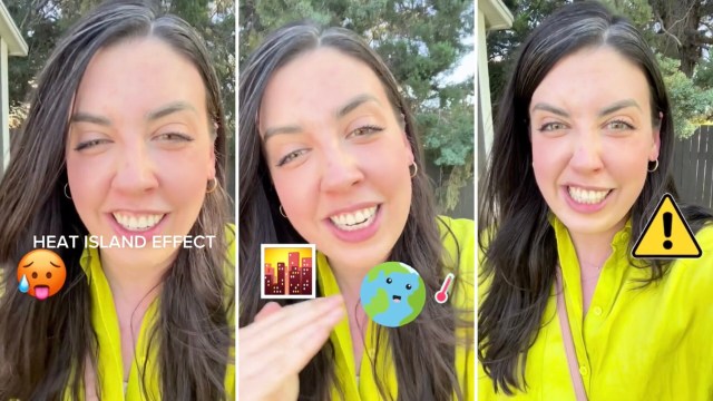 "There are so many problems ... and I will gladly name several of them."