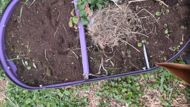 "Thank you for finding space in your heart to share your yard."