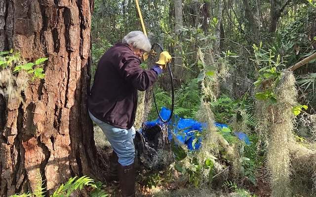 "It was pretty apparent at first that the male had passed away."