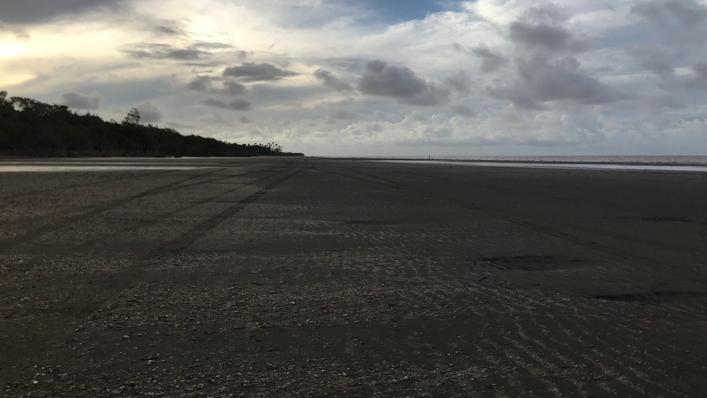 Unfortunately, scenes like these are far too common.