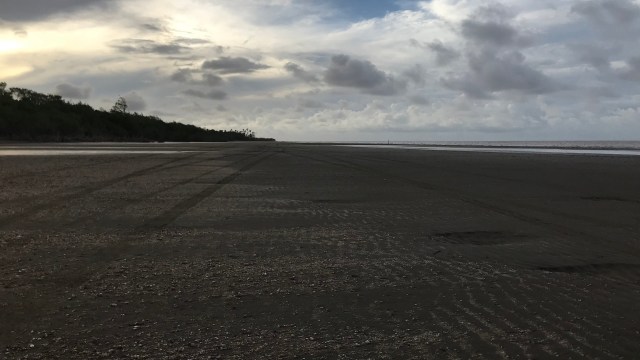 Unfortunately, scenes like these are far too common.