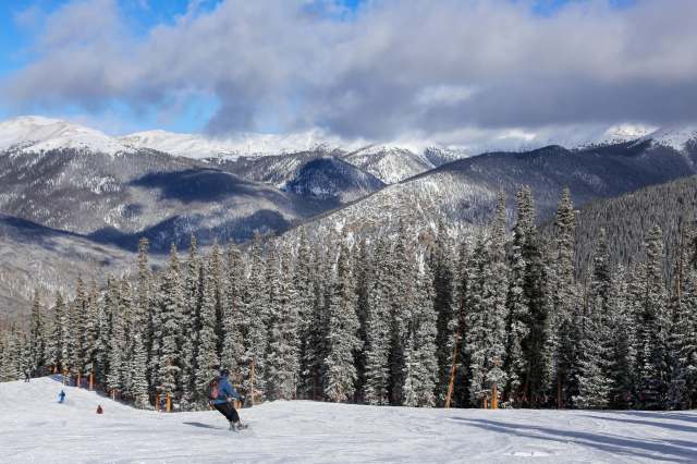 "We found the bear while he was walking through the trees of connecting runs."