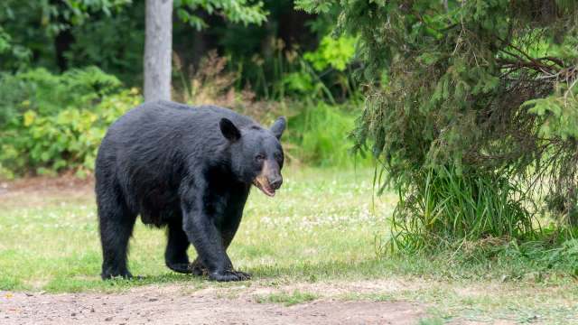 Residents were advised to take proper precautions.