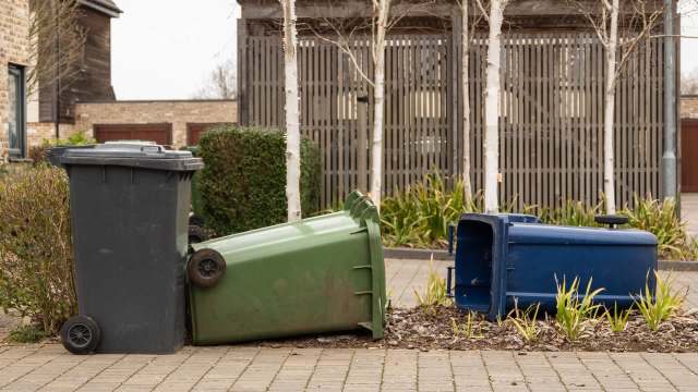 "What if [the bear] gets in the streets where the children are playing? What are we supposed to do?"