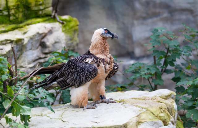 "The result is much more than feasible."