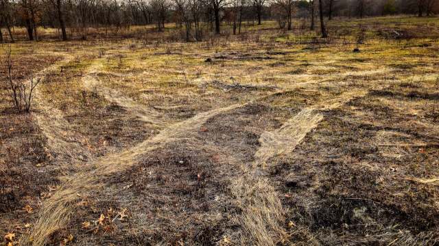 Researchers have been hard at work trying to figure out ways to offset the impact.