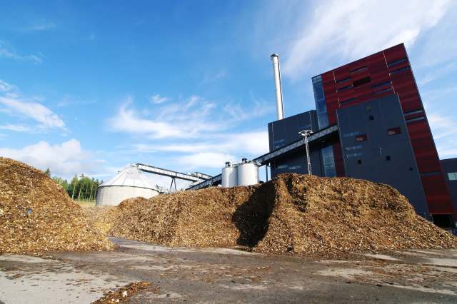 "The system is also capable of oxidizing other organic molecules."