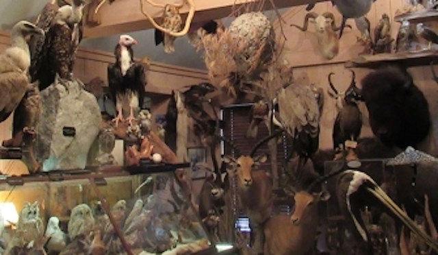 "[We] will continue to hold accountable those who exploit our shared natural resources for personal gain."