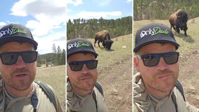 "What did we learn?"