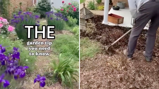 This low-effort trick can help your garden work smarter without much time investment.