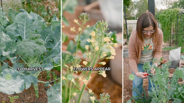 "Don’t wait too long."