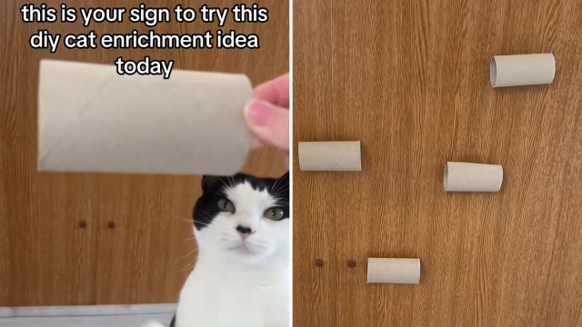 "We had a lot of fun with this."