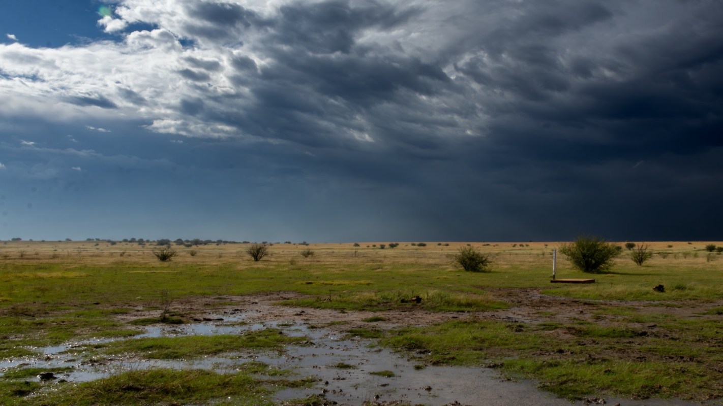 Limited or interrupted supplies mean higher prices at the grocery stores.