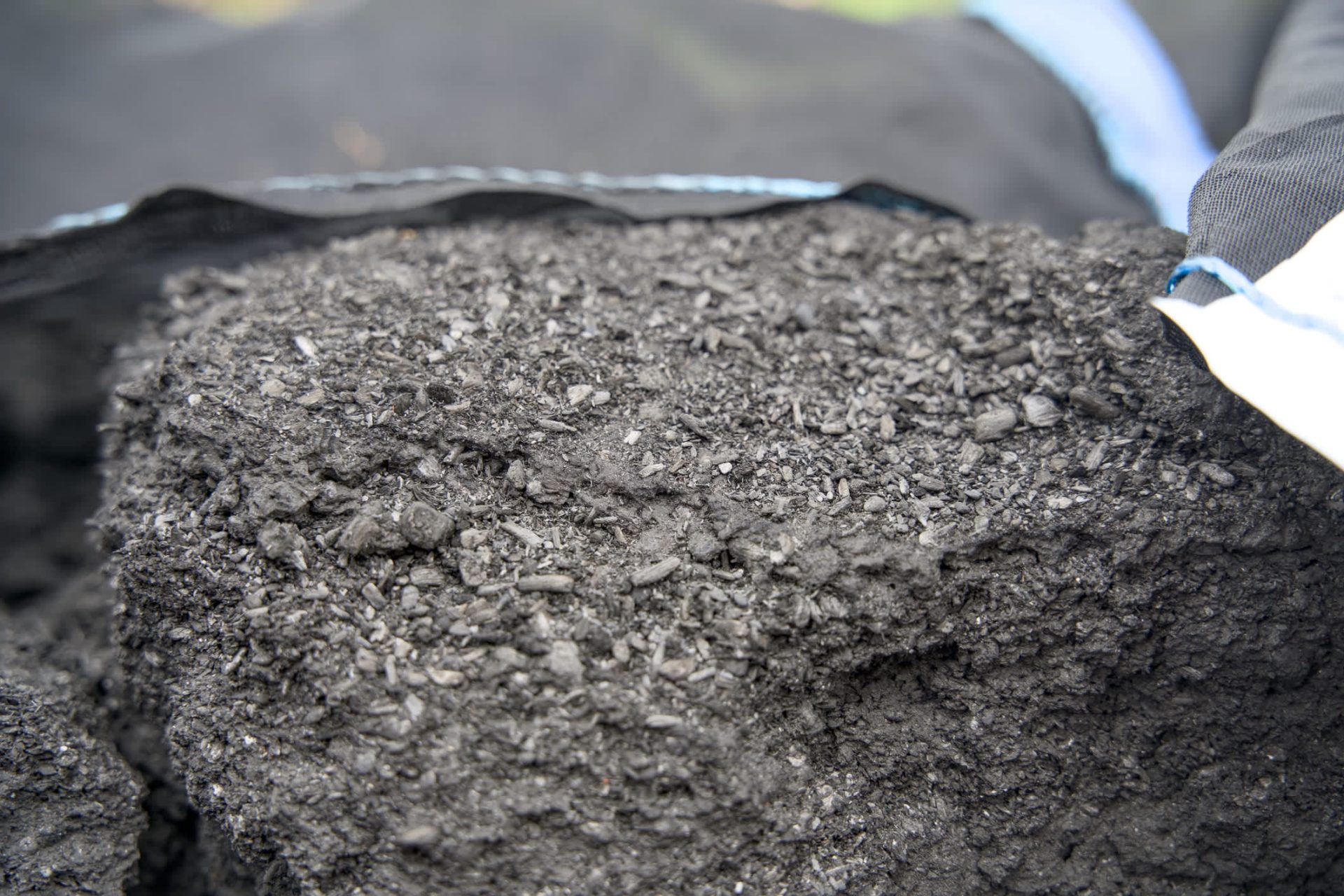 "Our results were very interesting."